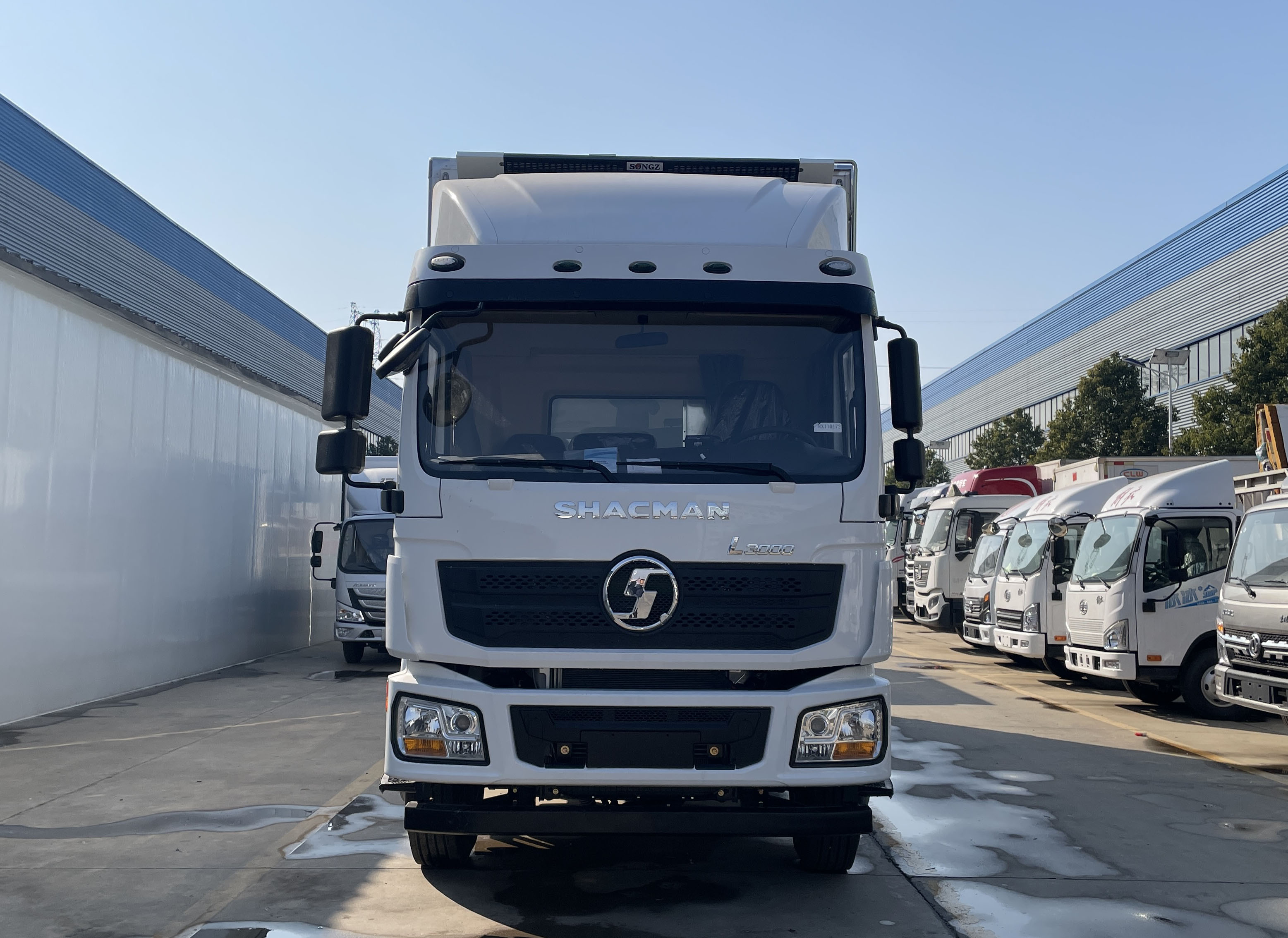 SHACMAN陜汽德龍8米冷藏車圖片2